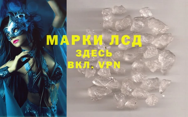 мяу мяу мука Дмитриев