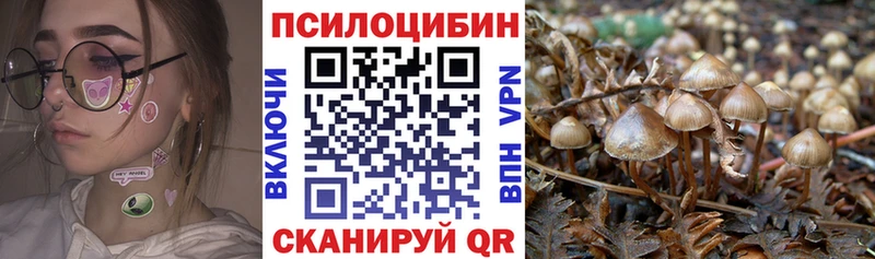 Псилоцибиновые грибы ЛСД  Карачев 
